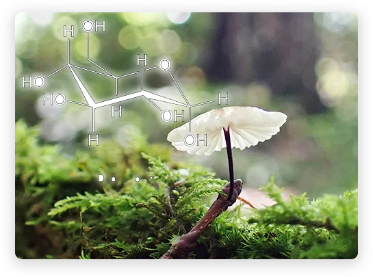 独自であり最高峰のβグルカン