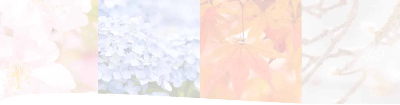 ずっと使えるオールインワン